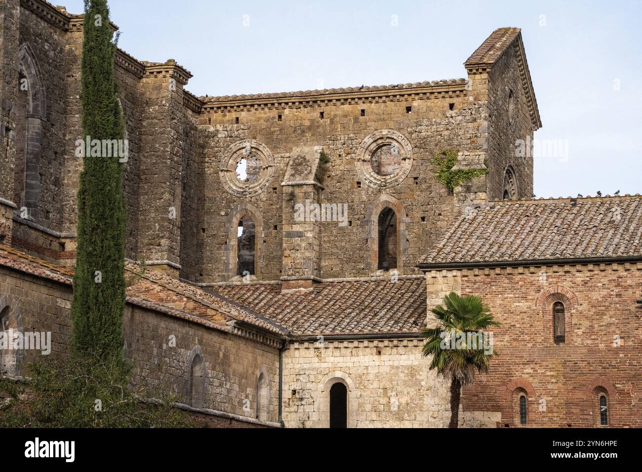 Rovina del monastero medievale cistercense di San Galgano in Toscana, Italia, Europa Foto Stock