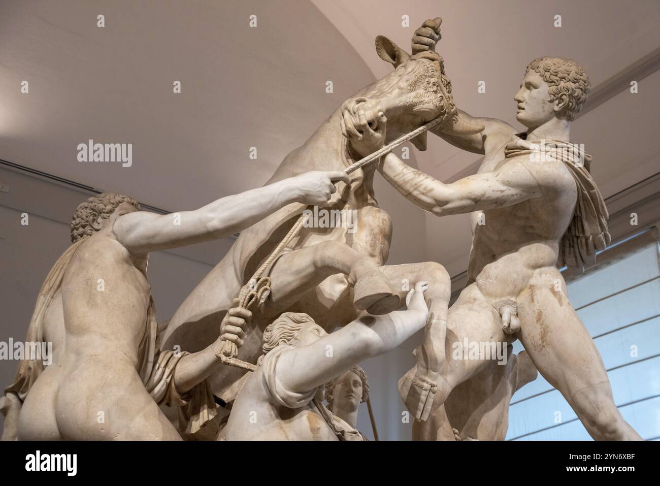 NAPOLI, ITALIA, 6 MAGGIO 2022, famosa statua romana gigante del Toro Farnese a Napoli, Italia, Europa Foto Stock