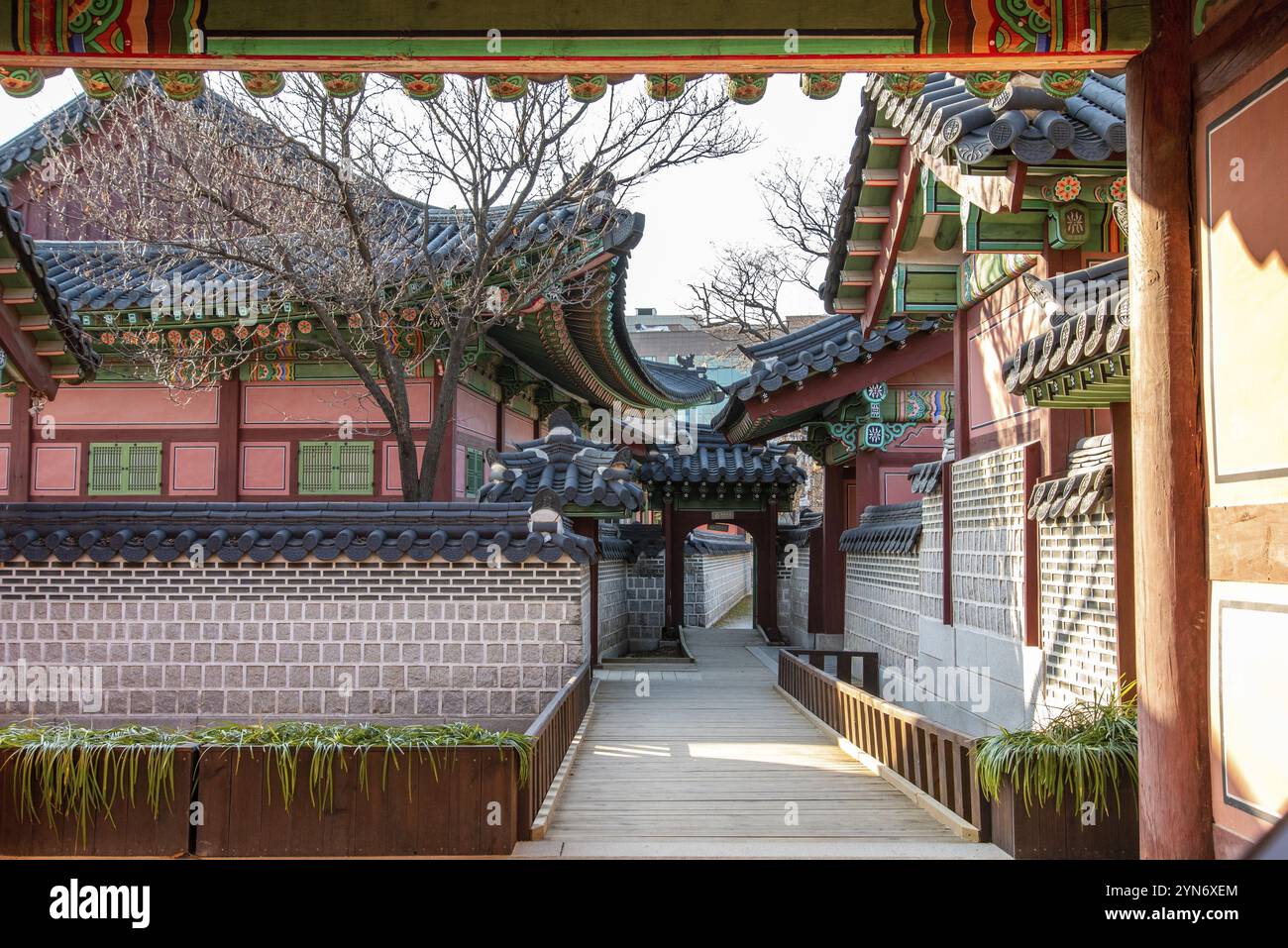 Area del Palazzo reale a Seoul, Corea del Sud, Asia Foto Stock