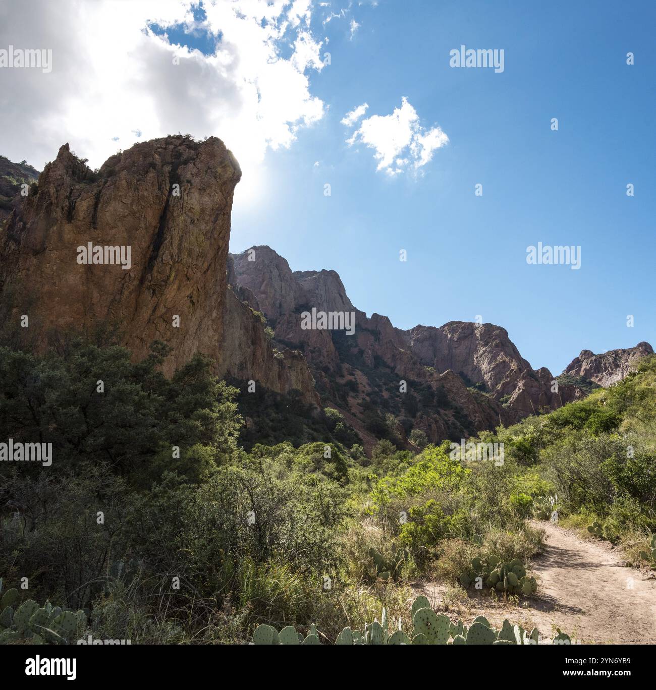 Paesaggio montano panoramico nel Big Bend National Park, Stati Uniti, Nord America Foto Stock