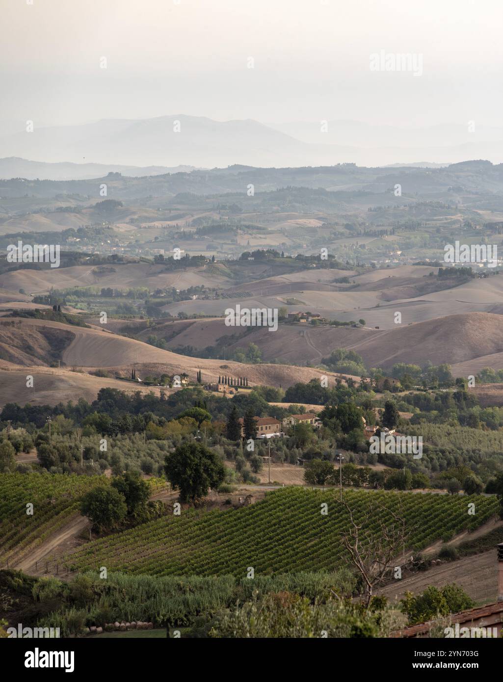 Tipico paesaggio toscano con colline e cipressi nelle prime ore del mattino vicino a Montaione, Italia, Europa Foto Stock