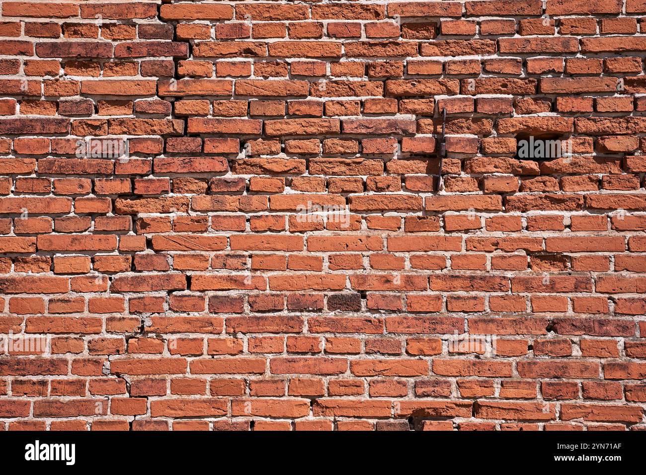 Muro di una vecchia fattoria in mattoni a Bledzew, Polonia Foto Stock