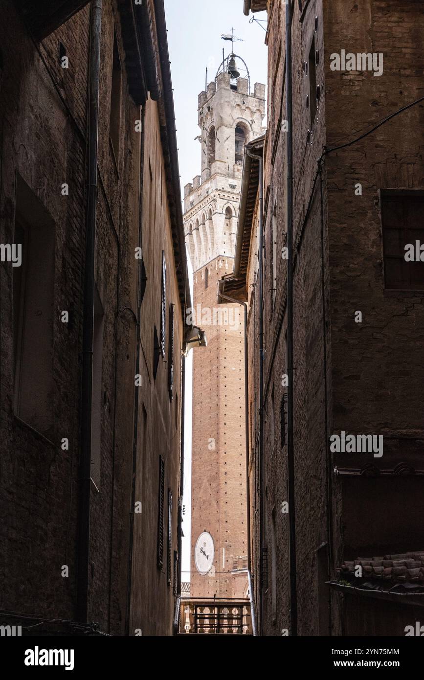 Torre del Palazzo pubblico in Piazza del campo nel centro di Siena, in Italia, vista da uno stretto vicolo, l'Europa Foto Stock