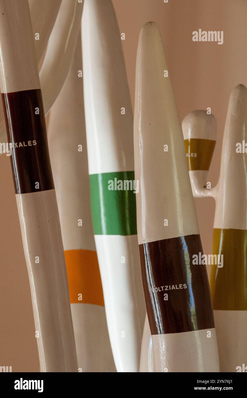 Albero filogenetico di piante terrestri all'interno del museo di paleobotanica ed etnobotanica dell'Orto Botanico reale di Napoli Foto Stock