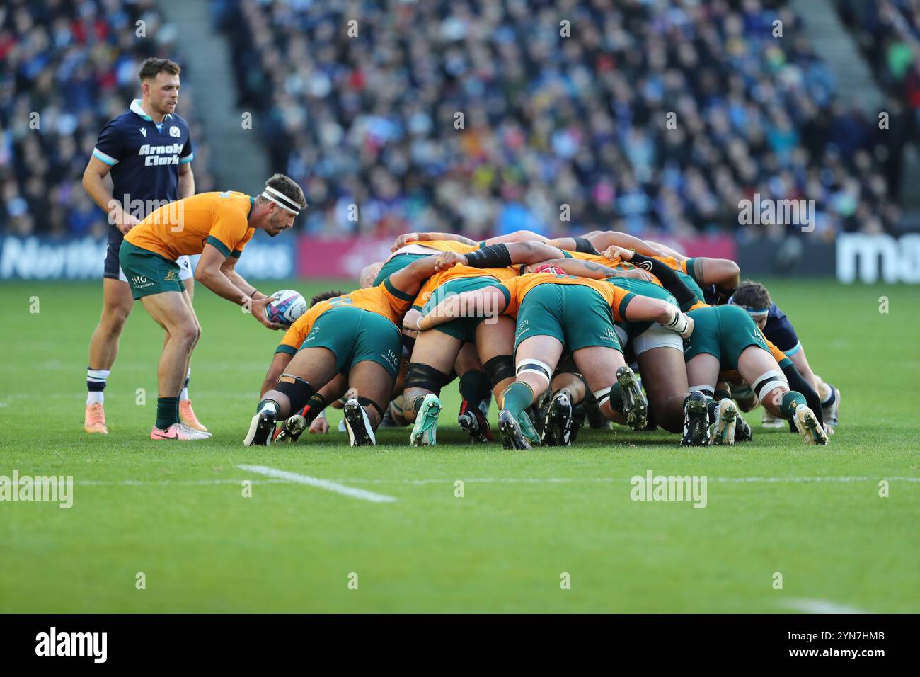 Edimburgo, Scozia, Regno Unito, 24 novembre 2024 - l'Australia ottiene il "put in" al TRY. Scozia contro Australia a Murrayfield, Edimburgo.- credito: Thomas Gorman/Alamy Live News Foto Stock