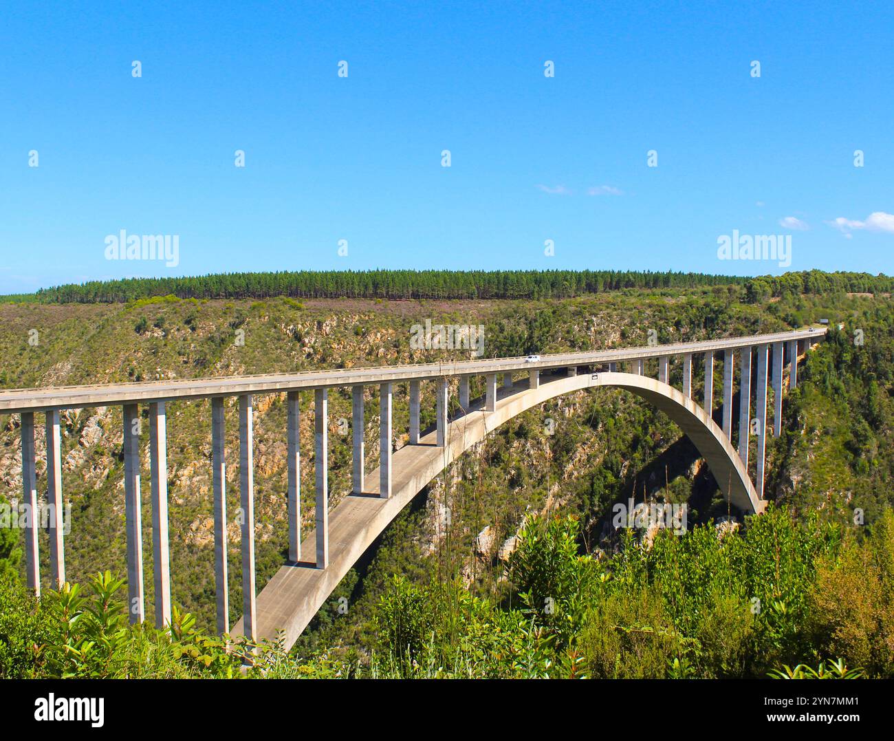 Bloukrans bunjee jumping bridge situato vicino alla Nature's Valley e a Knysna nella Garden Route, nella parte occidentale del capo Foto Stock