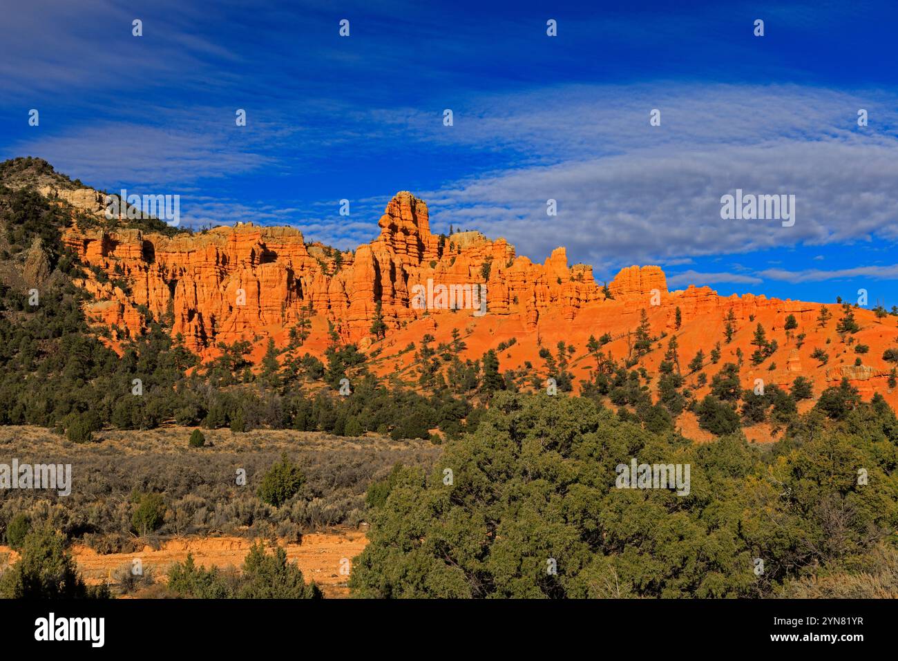 Questa è una vista delle splendide formazioni di roccia rossa all'ingresso del Red Canyon a est di Panguitch, Garfield, County, Utah, USA. Questa vista guarda a nord Foto Stock