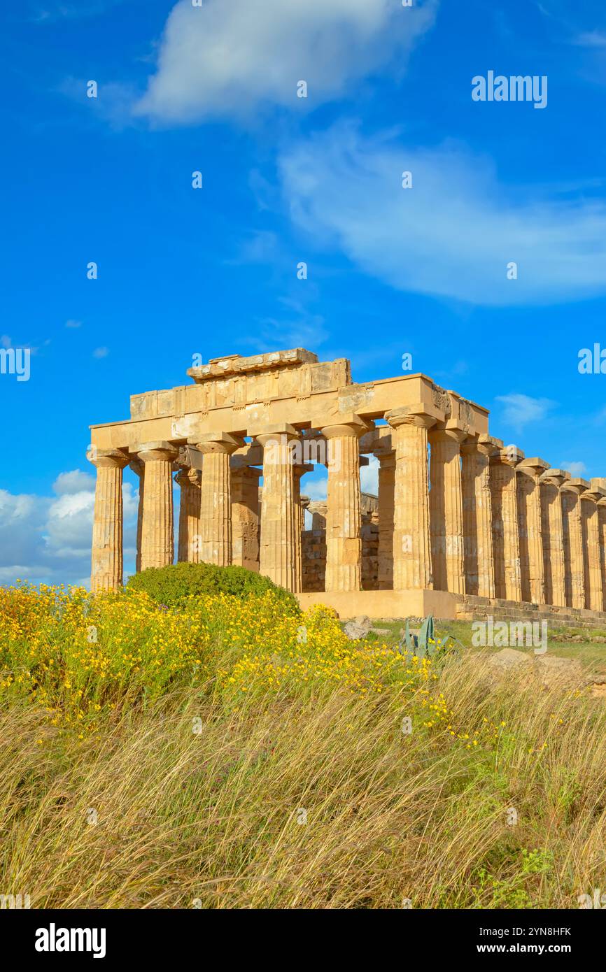 Tempio e, Parco Archeologico di Selinunte, Selinunte, Distretto di Trapani, Sicilia, Italia Foto Stock