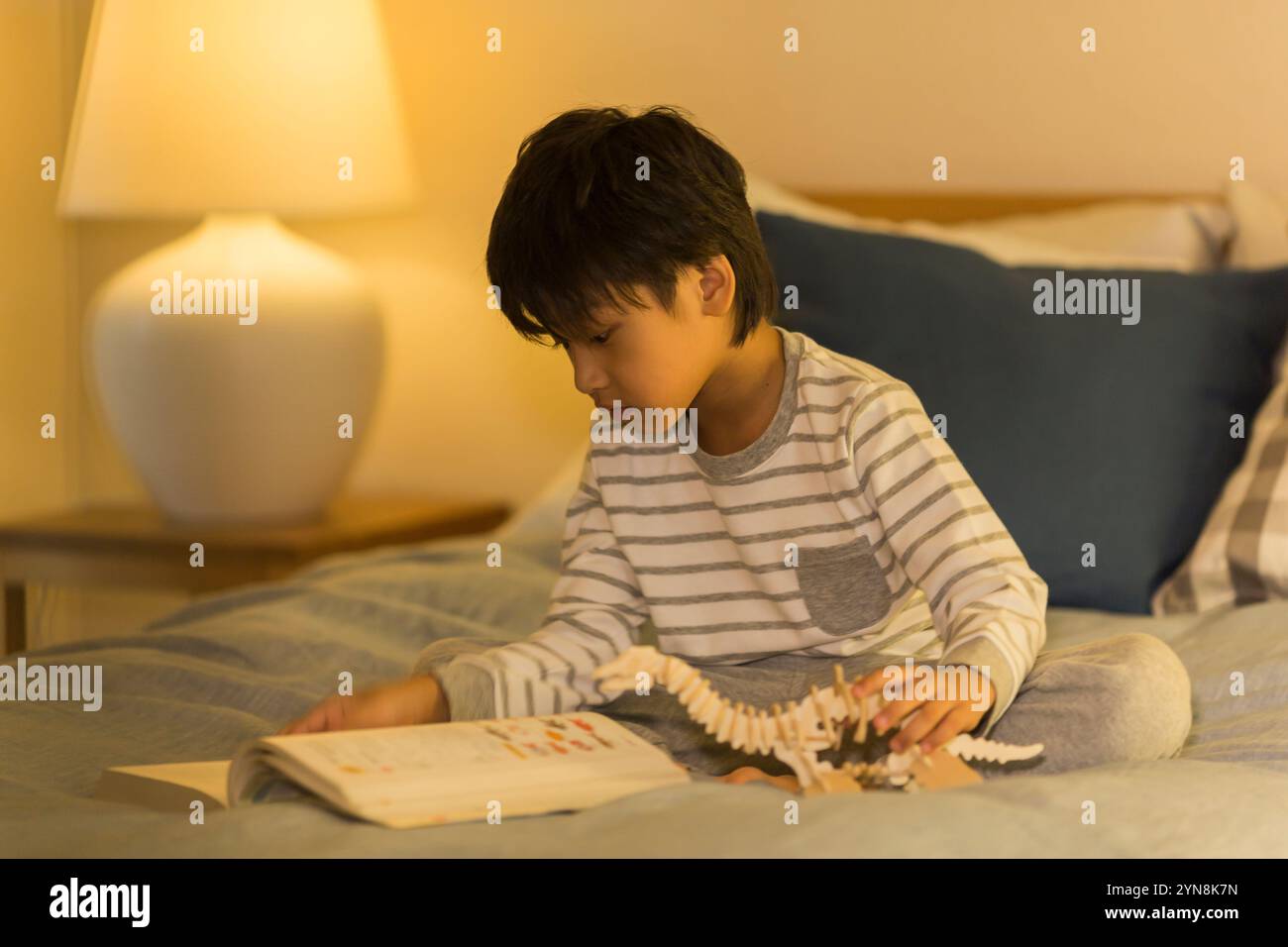 Ragazzo che guarda un libro illustrato con modelli di dinosauro Foto Stock