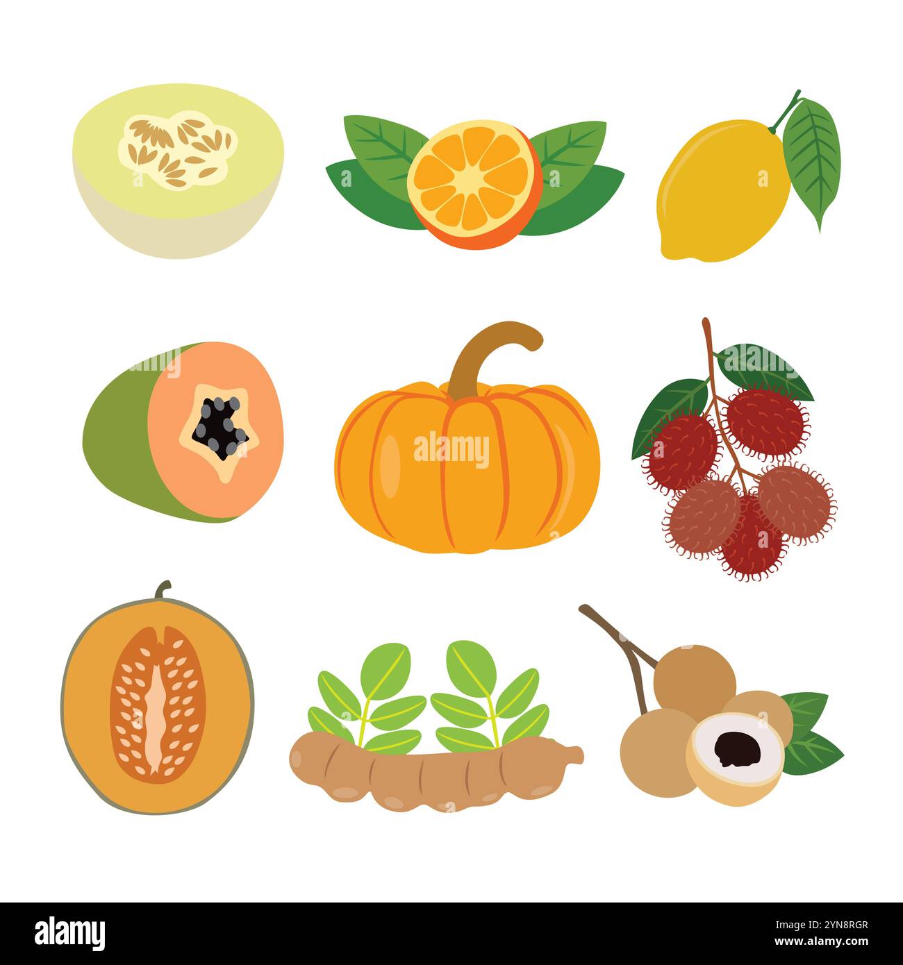 Extravaganza di frutta tropicale. Illustrazione vettoriale Illustrazione Vettoriale