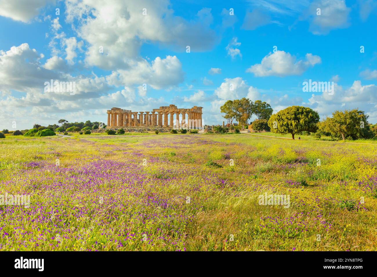 Tempio e, Parco Archeologico di Selinunte, Selinunte, Distretto di Trapani, Sicilia, Italia Foto Stock