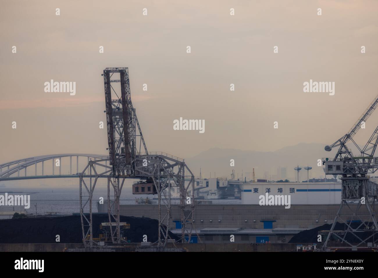Paesaggio industriale al tramonto con Cargo Crane Foto Stock