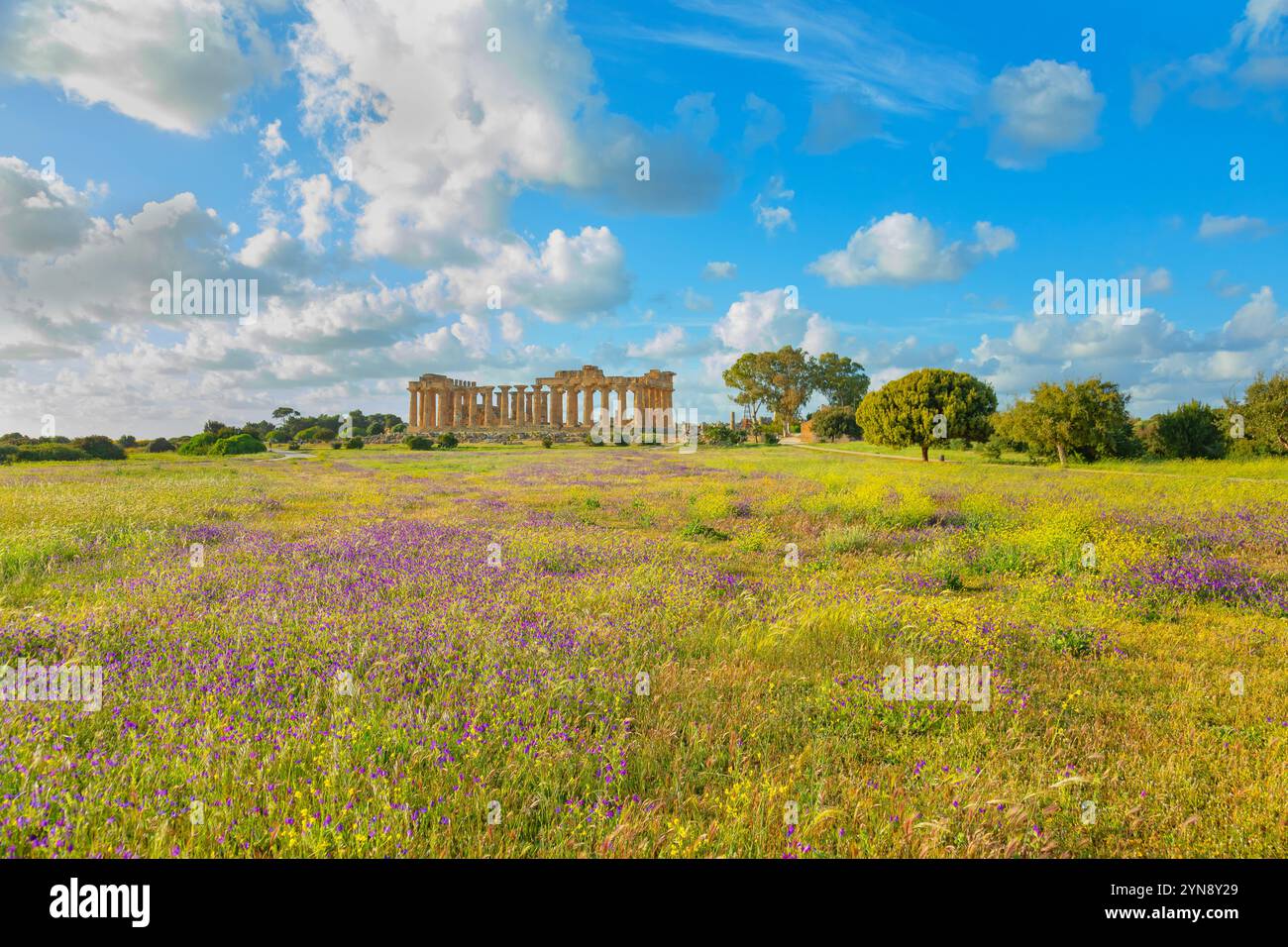 Tempio e, Parco Archeologico di Selinunte, Selinunte, Distretto di Trapani, Sicilia, Italia Foto Stock