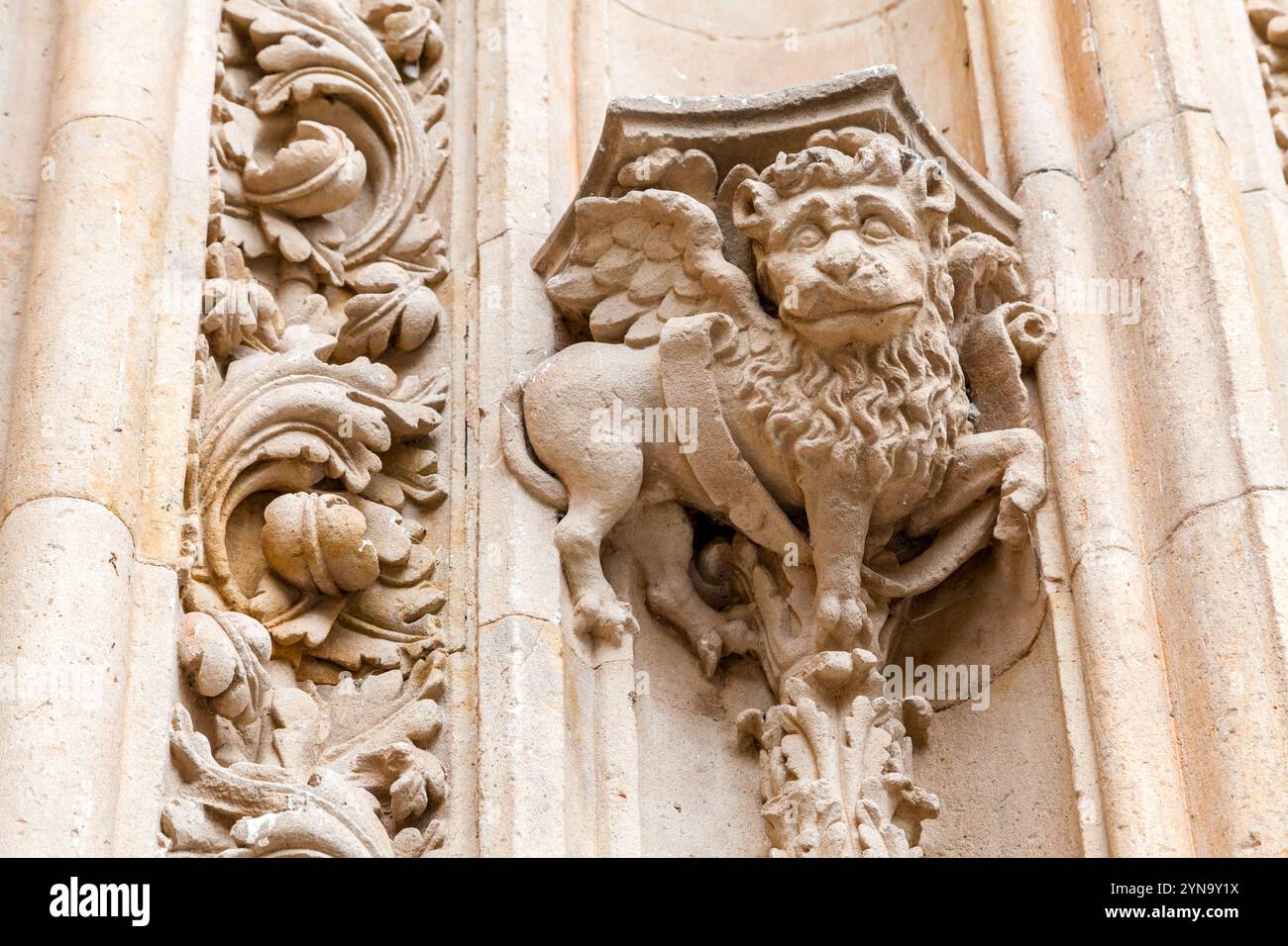 Una dettagliata creatura alata adorna la facciata di un antico edificio a Salamanca, che mostra intricati lavori in pietra. Foto Stock