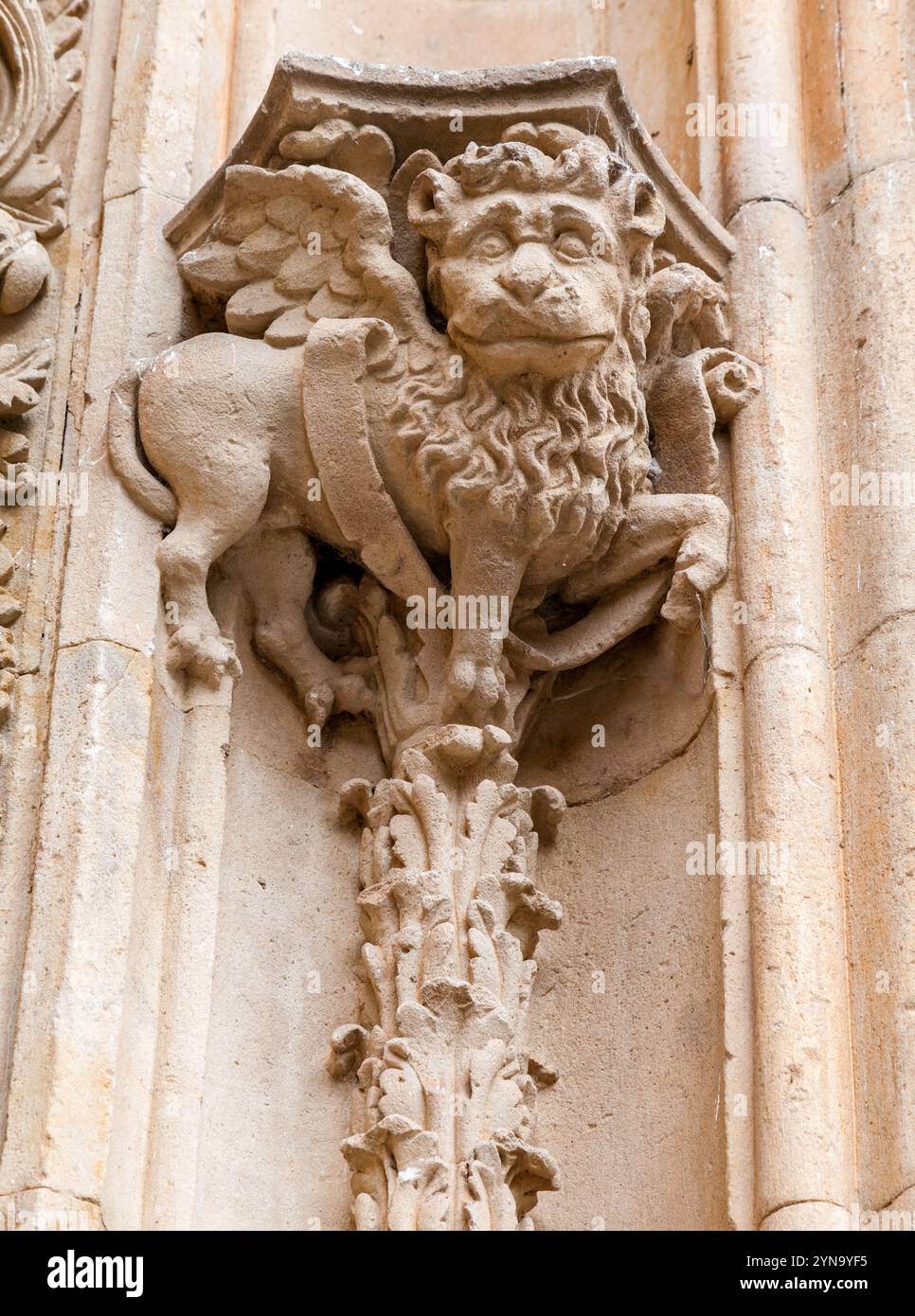Una dettagliata creatura alata adorna la facciata di un antico edificio a Salamanca, che mostra intricati lavori in pietra. Foto Stock