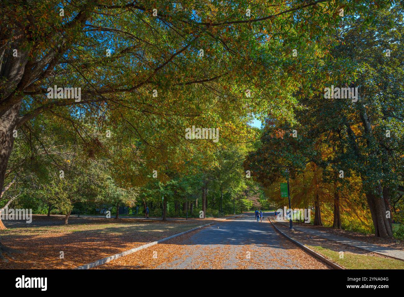 Piedmont Park, Atlanta, Georgia, Stati Uniti Foto Stock