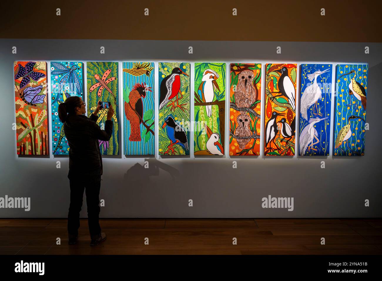 Australia, New South Wales, Sydney, Museum of Sydney o Museums of History NSW, arte aborigena, mostra Coomaditchie: The Art of Place Foto Stock