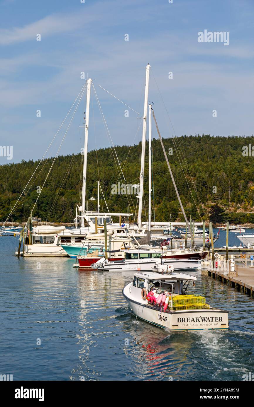 Stati Uniti, Maine, Bar Harbor, Northeast Harbor, il porto e le sue barche da pesca e da diporto e le sue barche a vela Foto Stock
