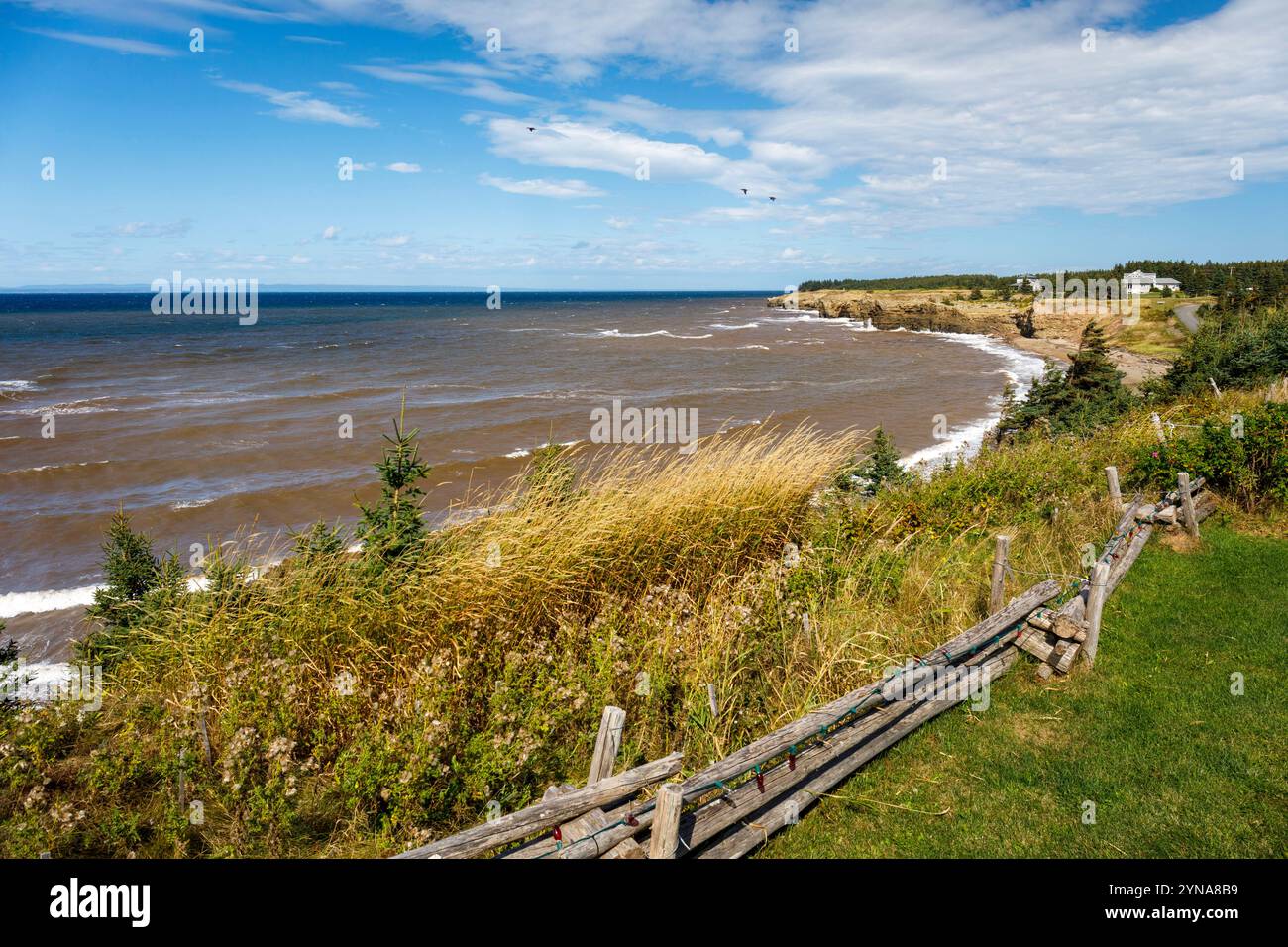 Canada, provincia del nuovo Brunswick, costa acadiana, regione Caps, Pokeshaw, parco provinciale Foto Stock