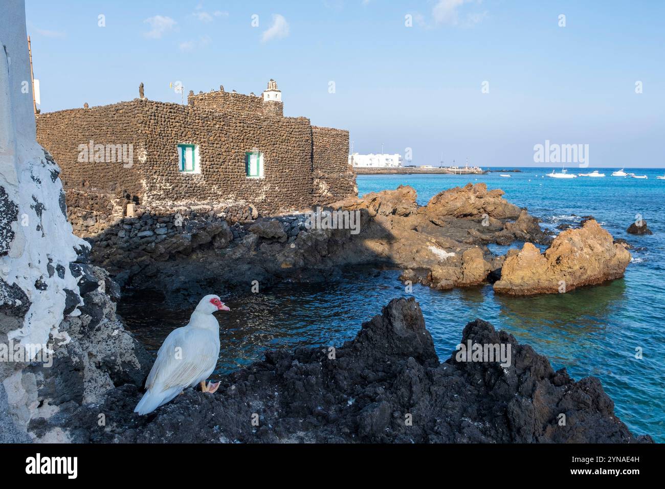 Spagna, Isole Canarie, isola di Lanzarote, il villaggio di Punta Mujeres, anatra e casa dei pescatori in pietra vulcanica Foto Stock