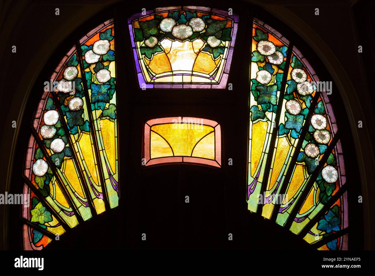 Francia, Meurthe et Moselle, Nancy, condominio e casa Bergeret progettato dall'architetto Lucien Weissenburger in stile Art Nouveau Ecole de Nancy (scuola Nancy), costruito tra il 1903 e il 1905 per lo stampatore Albert Bergeret situato in Rue Lionnois, vetrata al piano forst della scala realizzata dal maestro vetraio di Nancy Jacques Gruber che rappresenta i fiori di rosa Guelder (viburnum opulus) Foto Stock