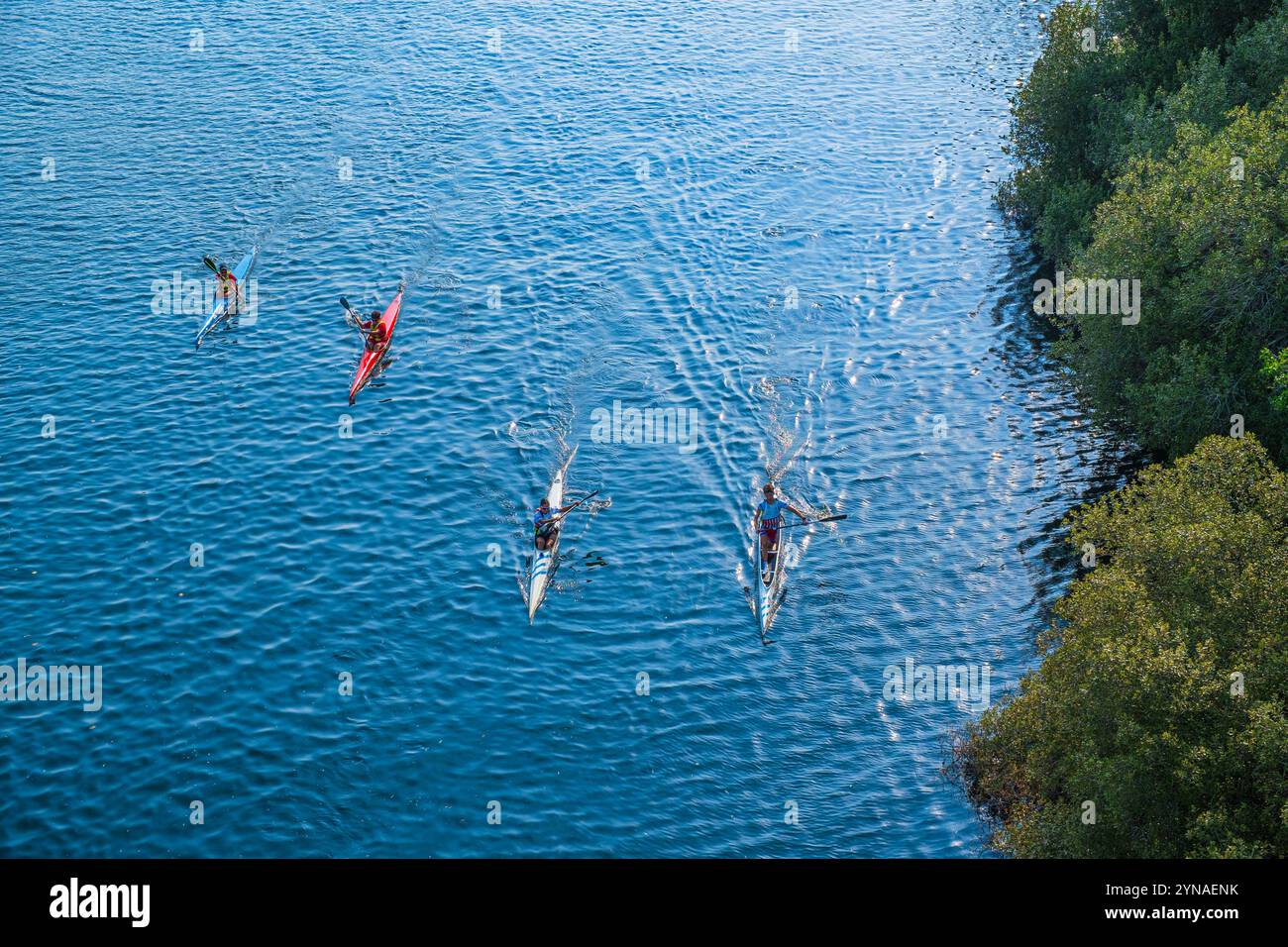 Spagna, Galizia, Tui, tappa sulla via centrale portoghese, una delle vie verso Santiago de Compostela, canoa sul fiume Minho (Miño) Foto Stock