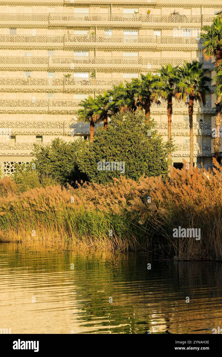 Francia, Herault (34), Montpellier, quartier Port Marianne, logement et bureau autour du bassin Jacques Coeur Foto Stock