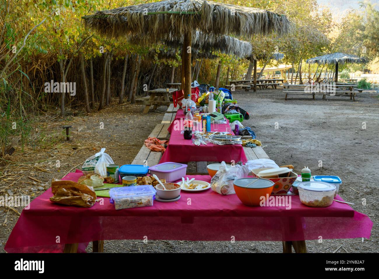 Tavolo da picnic carico di cibo residuo proveniente da una riunione sociale all'aperto Foto Stock