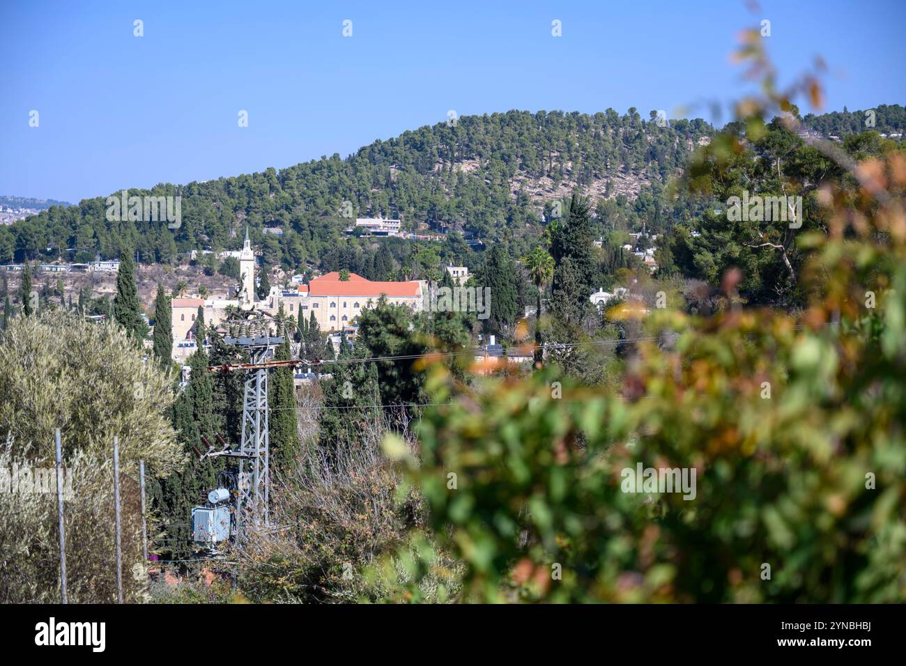 Israele, Gerusalemme, Ein Karem, chiesa di San Giovanni Battista, Giovanni BaHarim, a Ein-Kerem. costruito nella seconda metà del xix secolo sui resti di Foto Stock