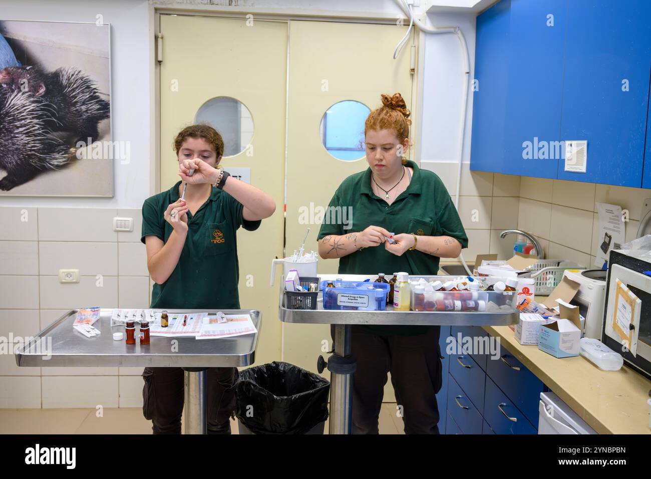 Shira (a sinistra) e Orit del personale infermieristico stanno preparando farmaci da somministrare alla fauna selvatica ricoverata presso l'ospedale israeliano Wildlife Hospital, Foto Stock