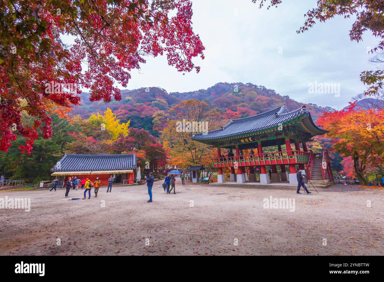 Autunno colorato con splendida foglia d'acero al tramonto al tempio di Baekyangsa nel parco nazionale di Naejangsan, Corea del Sud. Foto Stock