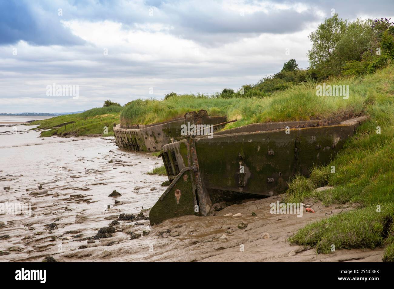 Regno Unito, Inghilterra, Gloucestershire, vale of Berkeley, cimitero navale Purton sulle rive del fiume Severn, chiatte spiaggiate che rinforzano la sponda del fiume Foto Stock