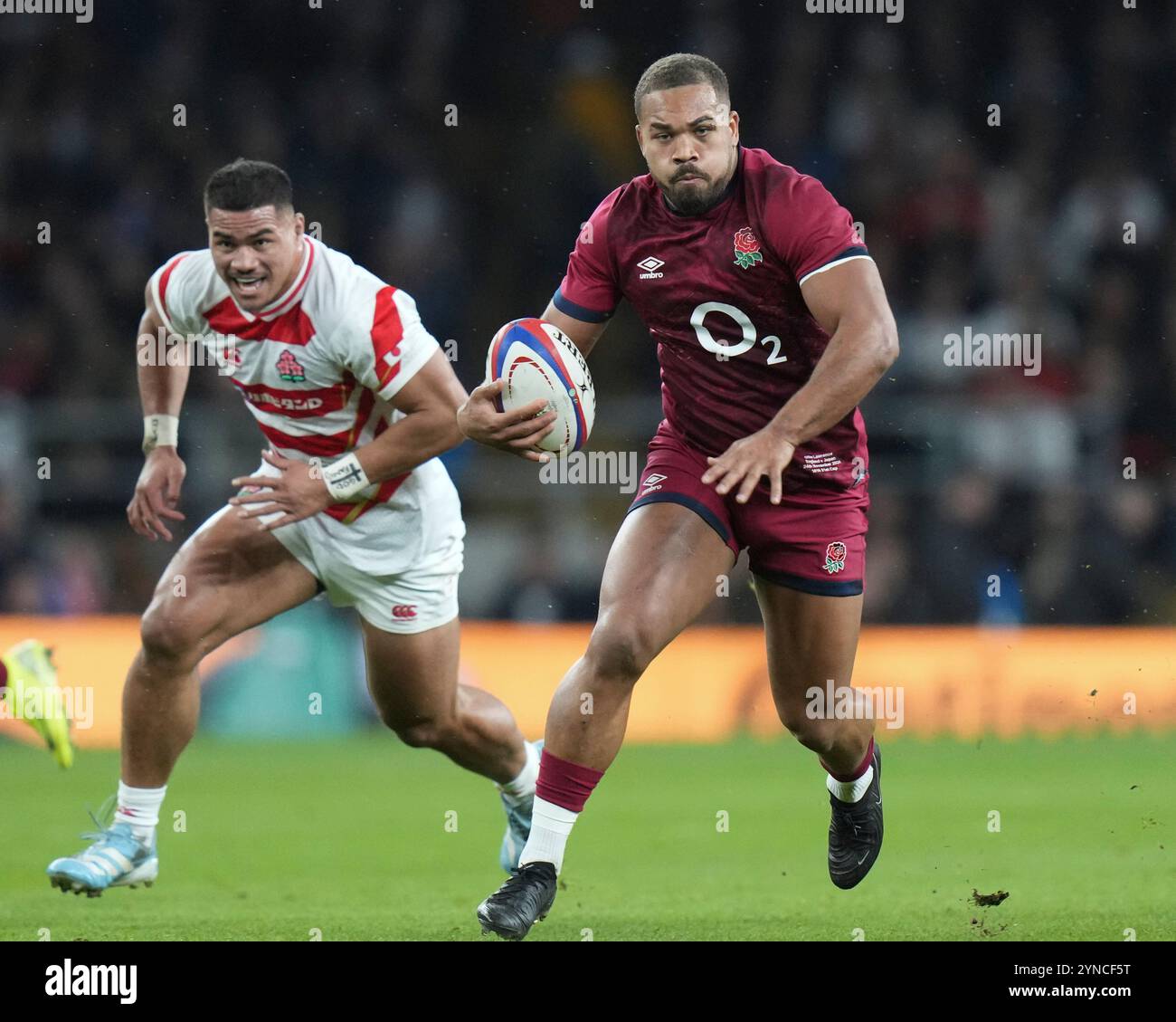 24 novembre 2024; Allianz Stadium, Londra, Inghilterra: Autumn Rugby International, Inghilterra contro Giappone; Ollie Lawrence dell'Inghilterra fa una pausa Foto Stock