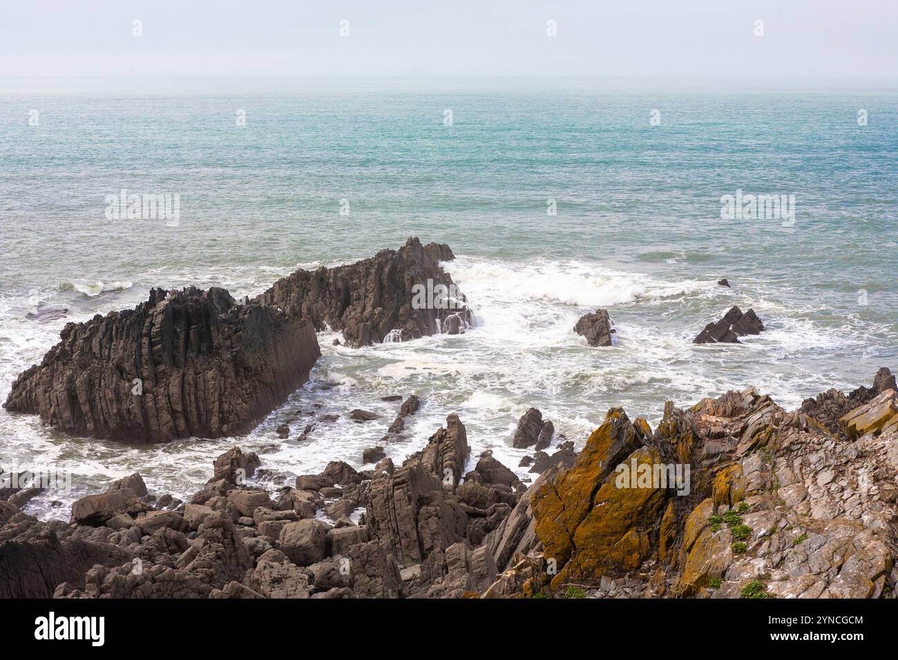 Una giornata nebbiosa ad Hartland Quay, costa del Devon settentrionale, Regno Unito: Mare, surf e rocce. Foto Stock