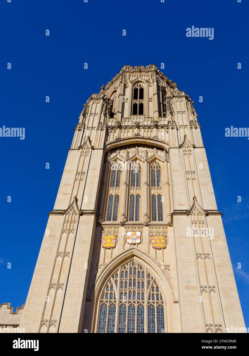 Wills Memorial Building, edificio neogotico, Bristol University, Bristol, Inghilterra, REGNO UNITO, REGNO UNITO. Foto Stock