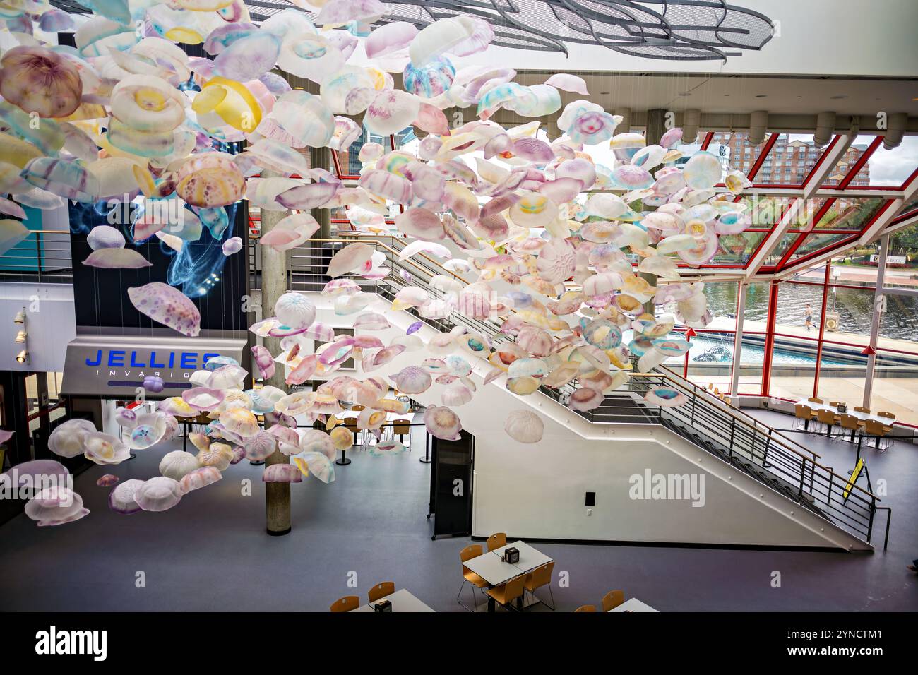 National Aquarium Jellyfish Art Installation Baltimore // BALTIMORE, Maryland - opere d'arte sospese ispirate alle meduse sono appese in un atrio fuori dalla mostra "Jellies Invasion: Oceans Out of Balance" presso il National Aquarium di Baltimora. L'installazione artistica completa la mostra speciale che si concentra su varie specie di meduse e sulle loro crescenti popolazioni in ambienti oceanici mutevoli. L'acquario nazionale, situato nel porto interno di Baltimora, è una delle principali organizzazioni di conservazione e strutture educative degli Stati Uniti. Vengono servite opere d'arte a tema meduse Foto Stock