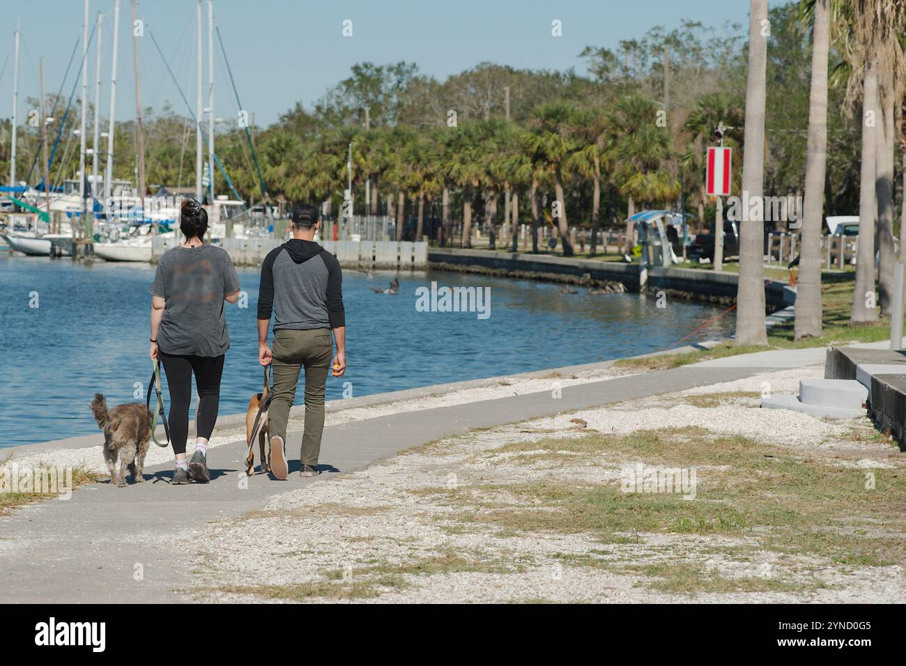 Un paio di uomini e donne si allontanano sul marciapiede sinistro che conduce al muro del mare verso Gulfport Florida Marina in una giornata di sole. Cane da passeggio Foto Stock