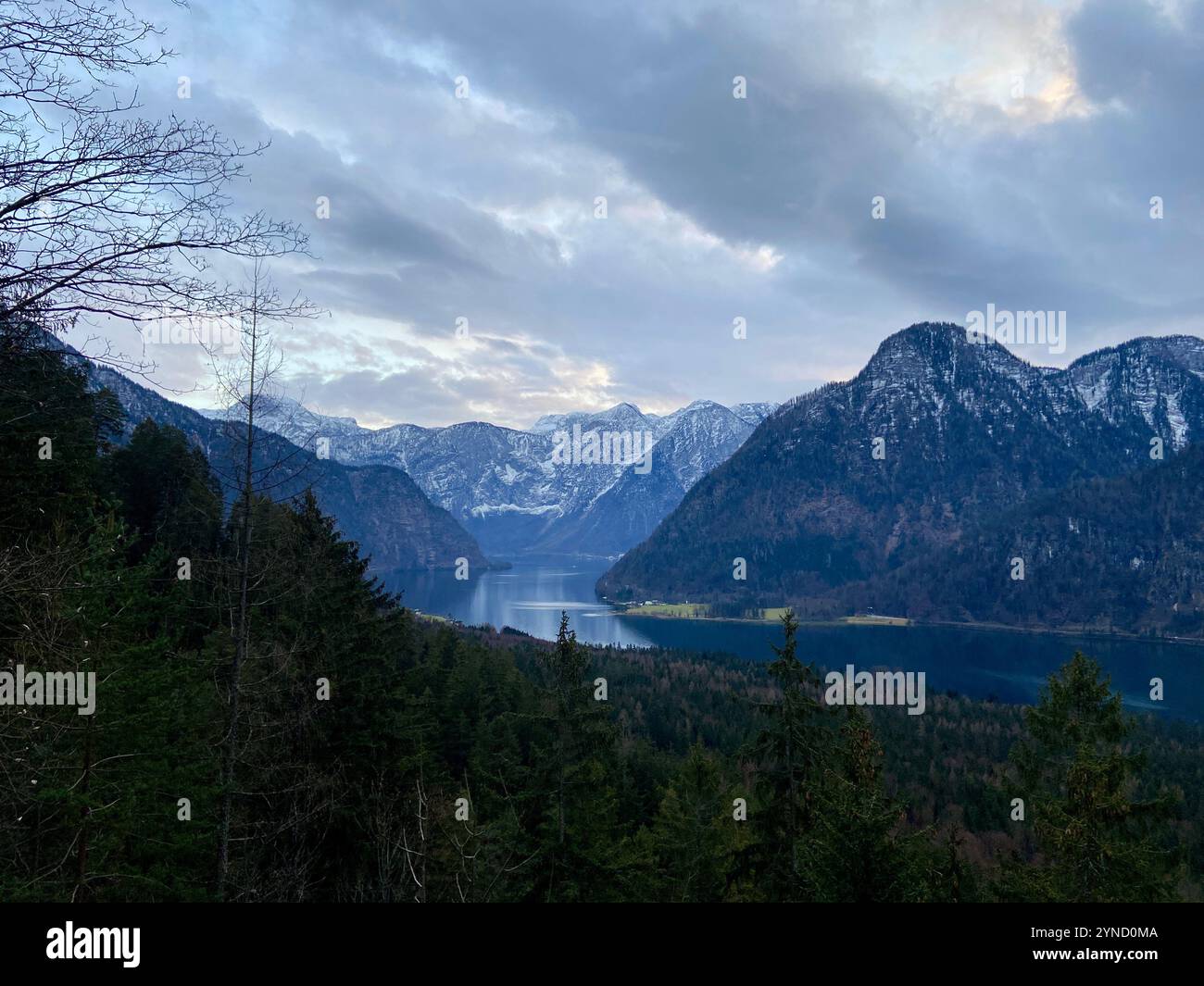 Vista panoramica delle maestose Alpi austriache circondate da un fiume calmo e da una foresta mozzafiato. Natura, armonia e tranquillità in una foto. - Immagine stock catturata con smartphone