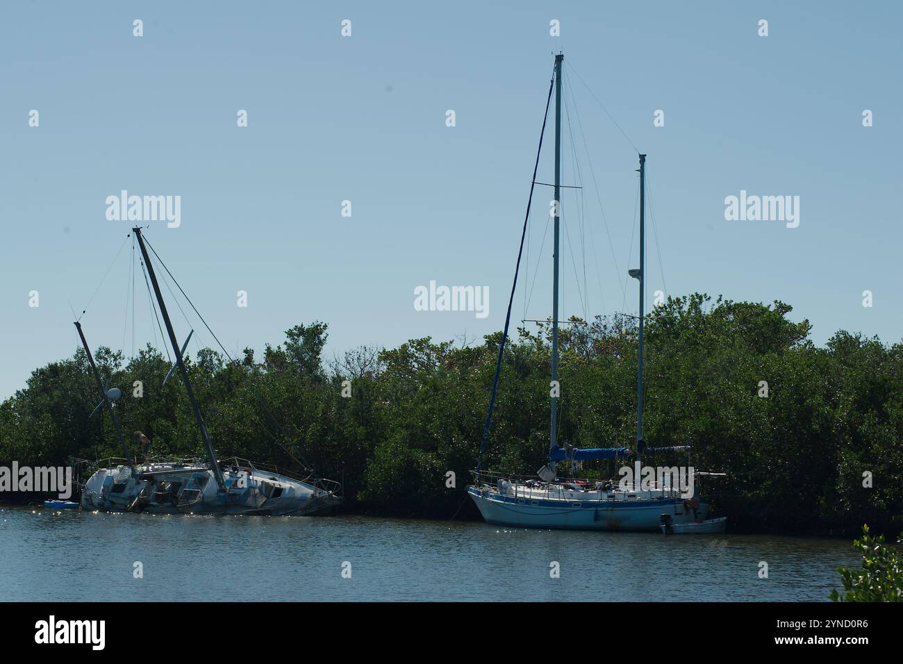 Ampia visuale sull'acqua blu della baia incorniciata da mangrovie su entrambi i lati. Due barche a vela danneggiate in alberi verdi con un molo sul retro verso la baia. Foto Stock