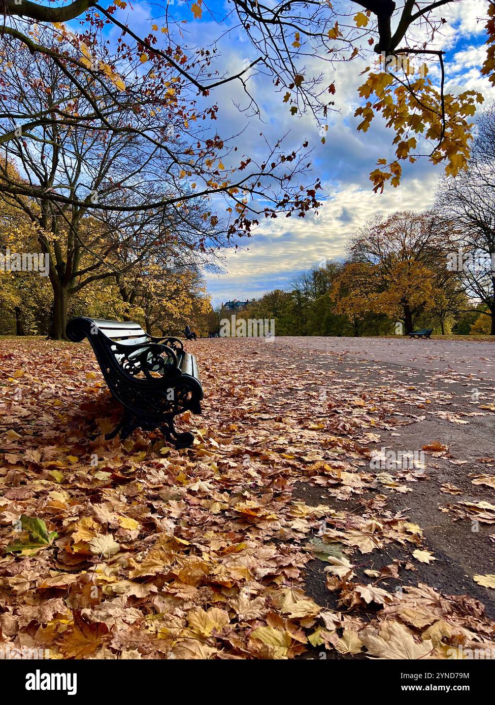 Parco pubblico in autunno con ampio sentiero, foglie dorate cadenti e una panchina vuota. Niente persone. Kensington Park. Foto Stock