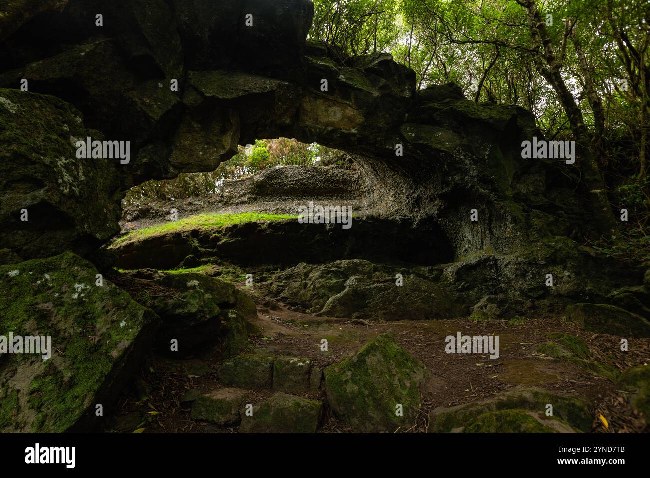 Questo tubo lavico Furna da Maria Encantada, si trova sul crinale della Caldeira da Graciosa, Sao Mateus, Graciosa Island, Azzorre. Foto Stock