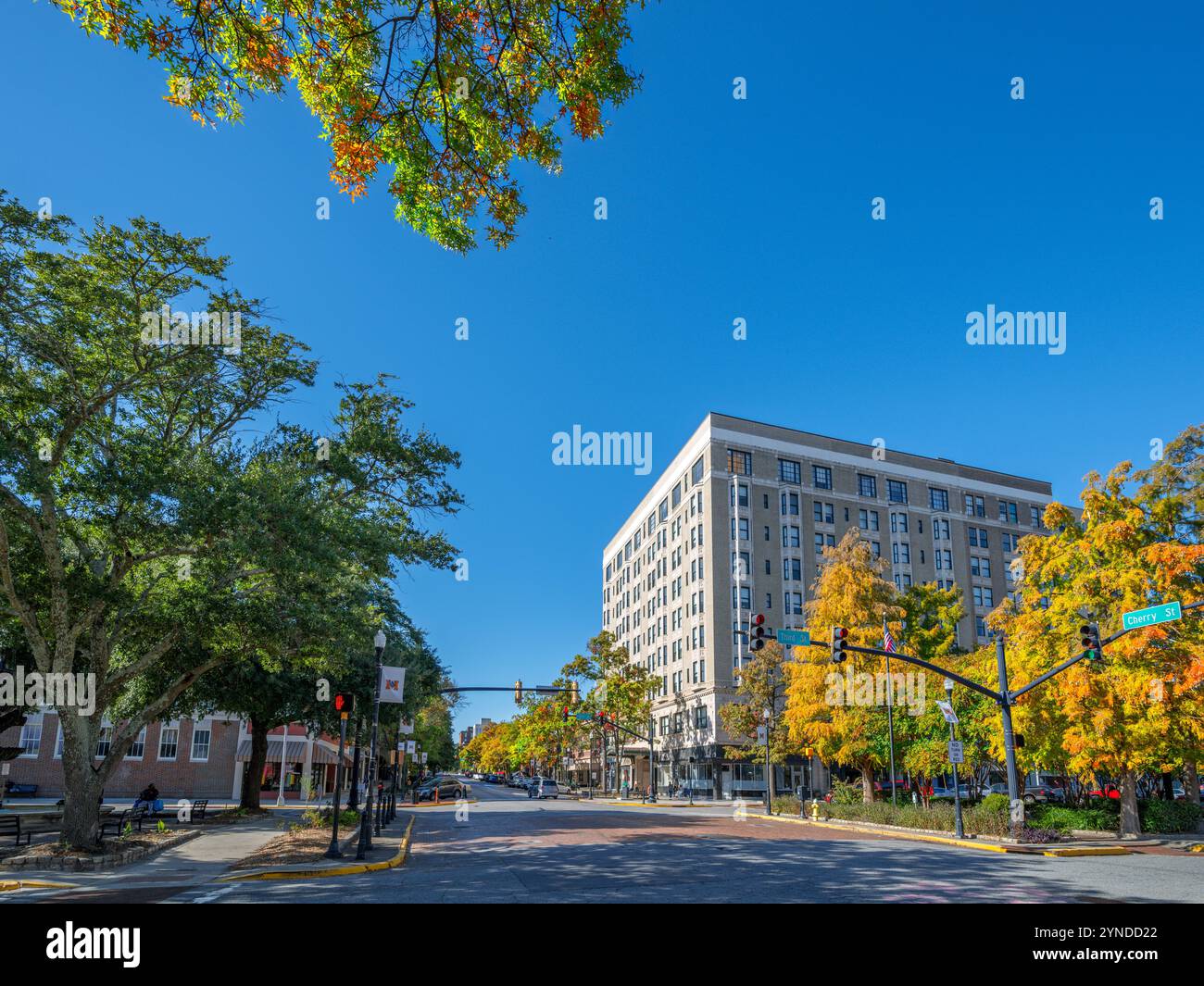 Cherry Street nel centro di Macon, Georgia, Stati Uniti Foto Stock
