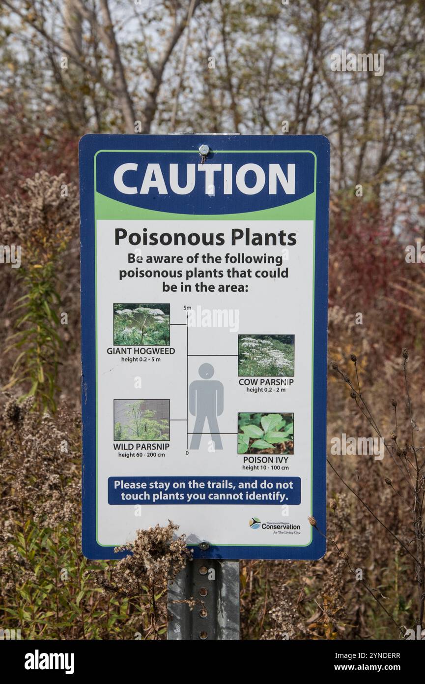 Attenzione, insegna piante velenose al Tommy Thompson Park di Scarborough, Toronto, Ontario, Canada Foto Stock