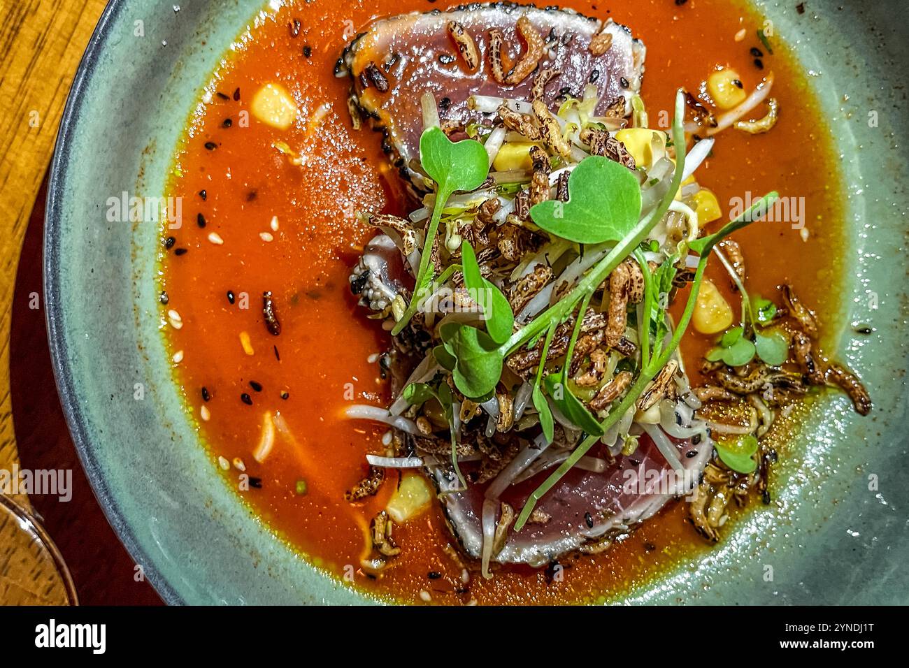 Tonno tataki con condimento coreano, wakame, cetriolo e germogli viene servito al MosaCaña Bar & Kitchen, Penstraat 41, Willemstad, Curaçao. La cucina del ristorante combina tecniche di cottura asiatiche con ingredienti caraibici e sudamericani. Foto Stock