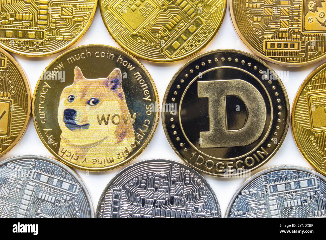 Calgary, Alberta, Canada. 22 maggio 2021. Un paio di Dogecoin con diverse monete cripto in circolazione Foto Stock