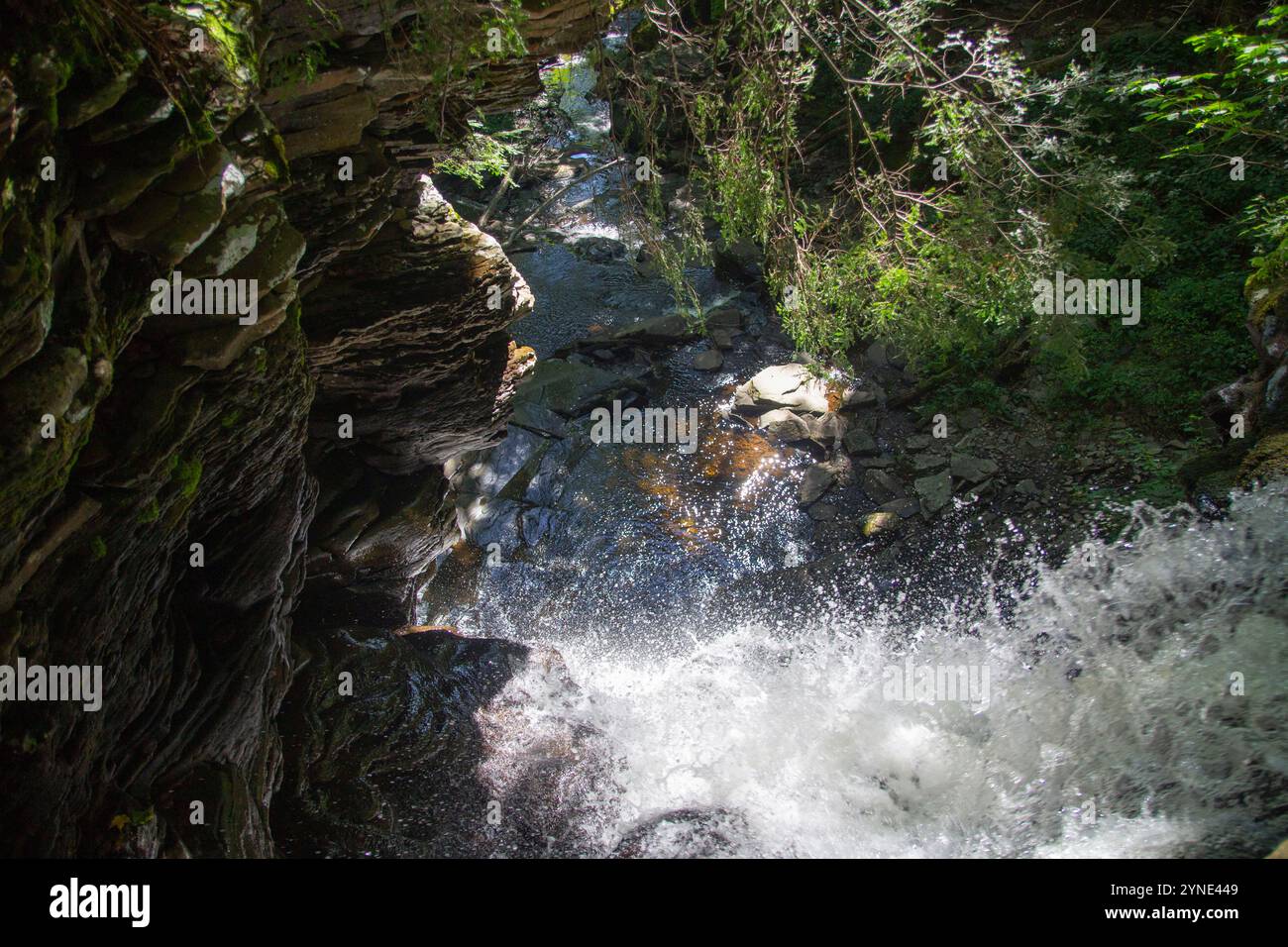 Vista aerea di una cascata nel bosco Foto Stock