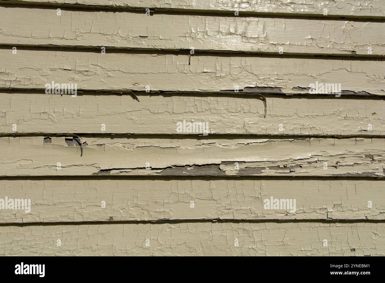 Rivestimento del pannello della clapboard con vernice staccabile Foto Stock