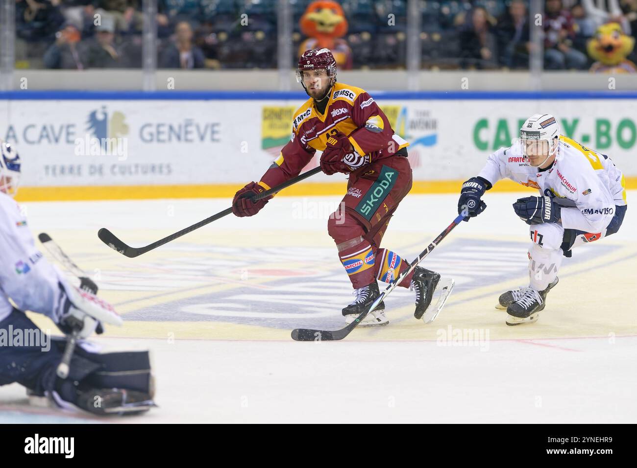 Ginevra, Svizzera. 25 novembre 2024. Ginevra, Svizzera, novembre 25 2024 : Michael Spacek (43 Geneve Servette HC) segna il gol d'oro durante la partita di Lega Nazionale tra Geneve Servette HC e HC Ambri-Piotta a Les Vernets a Ginevra, Svizzera (Giuseppe Velletri/SPP) crediti: SPP Sport Press Photo. /Alamy Live News Foto Stock