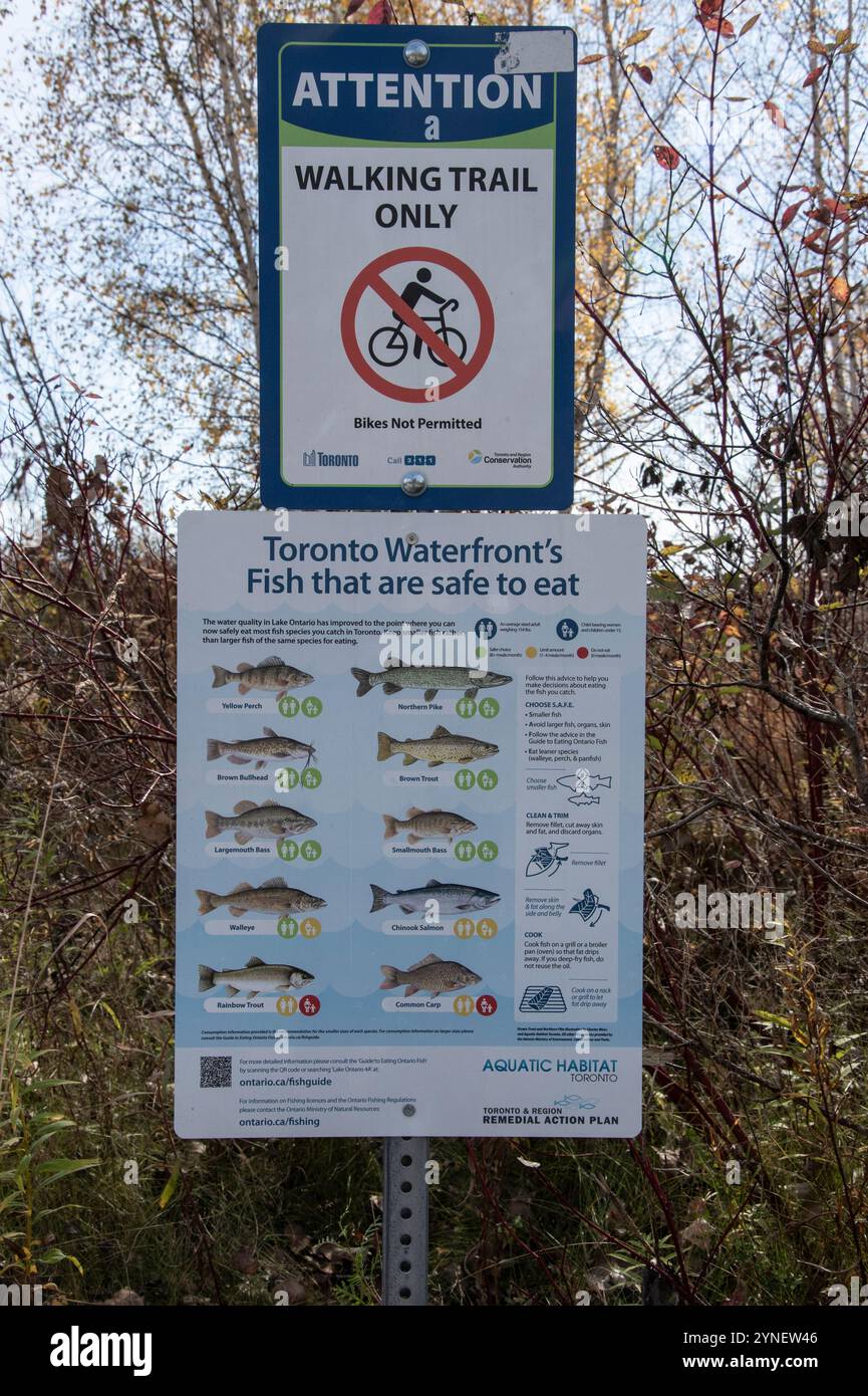 Sentiero per passeggiate e tipi di pesci al Tommy Thompson Park di Scarborough, Toronto, Ontario, Canada Foto Stock