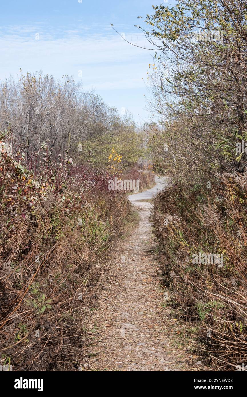 Sentiero per il faro del porto di Toronto al Tommy Thompson Park a Scarborough, Toronto, Ontario, Canada Foto Stock